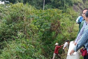 職能力量趕抵現場展開救援工作。（圖源：輝清）