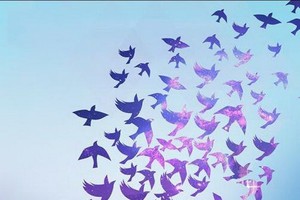 （示意圖源：互聯網）