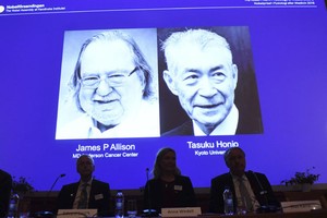 研究免疫療法抗癌 美日兩學者共享諾貝爾醫學獎。（圖源：互聯網）