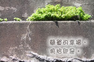 簡單的幸福