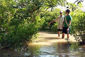 永隆省隆湖縣安平鄉圍堤潰決，洪水湧進農家果園。（圖源：興利）