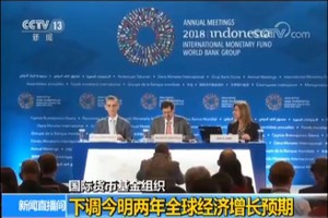 IMF下調今明兩年世界經濟增長預期。（圖源：CCTV視頻截圖）