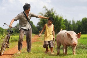 （示意圖源：互聯網）