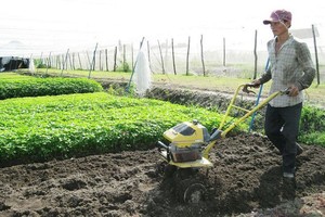 本市鼓勵農民、自由業者參加自願性社保以領退休金。