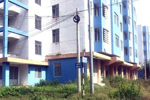 永祿B各棟空置公寓日漸荒廢殘舊。