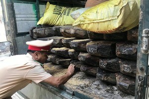 被查獲的木材。（圖源：VOV）