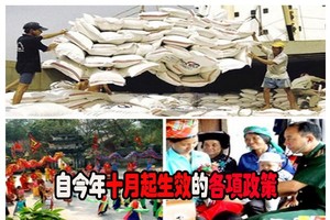 自今年十月起生效的各項政策（下）