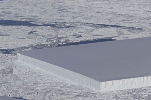 美國航空航天局(NASA)專家日前乘坐飛機飛越南極進行觀測時，意外拍攝到一個奇特的冰山，它的外型異常平整、有棱有角，就像經人切割的完美長方體，令人驚歎大自然的鬼斧神工。（圖源：推特）