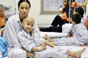 全球癌症記錄組織(GLOBOCAL)：今年全球有1810萬例癌症，以及有960萬例因癌症致死。其中，在越南有逾30萬人罹患癌症。（圖源：互聯網）