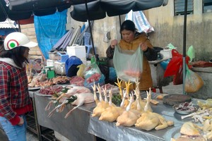 河內市某自發性街市正出售未經檢疫的禽肉。