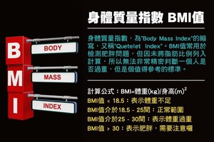 身體質量指數 BMI值。（圖源：互聯網）