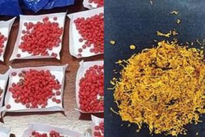 出現不少危險新型毒品令人防不勝防。