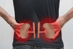 腎好不好就看這９個標準。（示意圖源：互聯網）