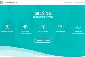 Viettel 提供轉換網絡服務。（圖源：網站截圖）