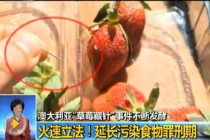 澳“草莓藏針案”涉事女子獲保釋。（圖源：CCTV視頻截圖）