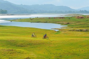 河漫灘在陽光照耀下金碧閃閃。