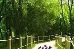 （示意圖源：互聯網）