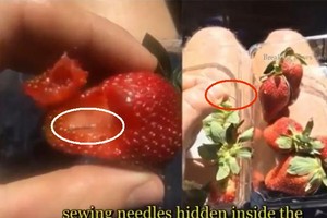 新西蘭報告第二起草莓藏針事件。（圖源：互聯網）