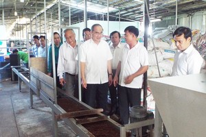 市委書記阮善仁參觀福門縣春泰山鄉的生產單位。（圖源：懷南）