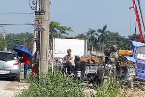 電線杆上的第九郡地皮出售廣告。