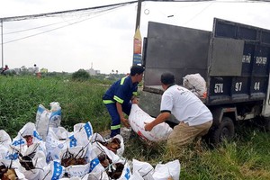 在舊邑郡第十三坊亂倒垃圾的場合，違規者須收拾垃圾並租車把垃圾載到垃圾中轉站。