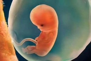 （示意圖源：互聯網）