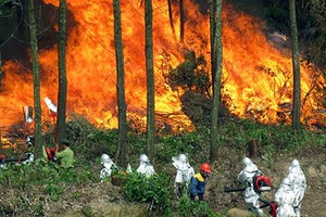 廣寧省錦譜市發生林火。（示意圖源：互聯網）