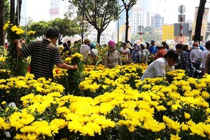 估計己亥年春節，本市將銷售約60萬至70萬盆梅花，25萬至30萬盆裁與盆景、1億3500萬棵各類菊、玫瑰、吉祥、百合、康乃馨等花。（示意圖源：互聯網）