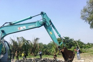 被媒體揭發的一起利用在平政縣豐富鄉第二邑進行 平整場地時非法填埋垃圾的事件。