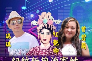 《紐紋新抱治家姑》劇照。