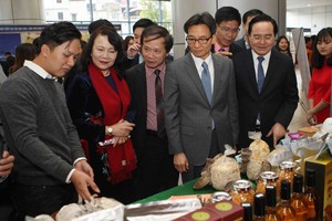 武德膽副總理(左四)參觀大學生創業項目展位。