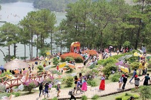 大勒市吸引國內外遊客參觀。（圖源：互聯網）