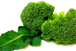 （示意圖源：互聯網）