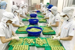 某家參加市場平抑計劃企業的生產線。