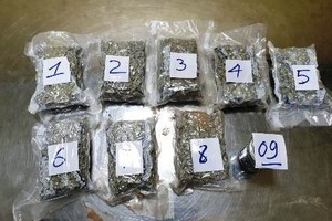 被查獲的2.3公斤枯樹葉和非固體毒品贓物。（圖源：TT）