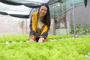 阮氏依的水耕蔬菜園。