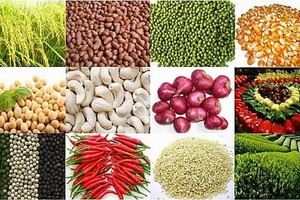 （示意圖源：互聯網）