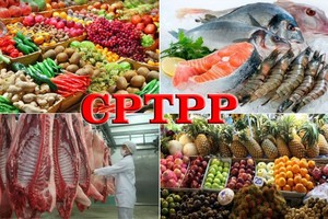 CPTPP 協定與我國企業的商機。（示意圖源：田升）