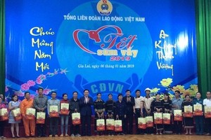 政府副總理王廷惠向嘉萊省清貧勞動者贈送禮物。（圖源：潘和）