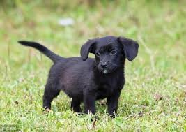 （示意圖源：互聯網）