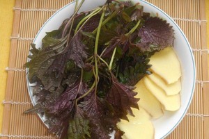 小米、百合、蓮子、桂圓、酸棗仁等，煮水或煮粥吃。（示意圖源：互聯網）