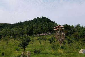 邊防部隊將於2019己亥年春節之前向廣平省政府及武元甲大將家屬移交大將陵墓的管理及保護工作。圖為武元甲大將陵墓區。（圖源：國南）