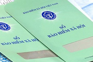 越南社保辦公廳：拖欠社保比例銳減。圖為社保冊。（示意圖源：互聯網）