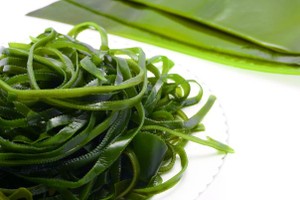 海帶。（圖源：互聯網）