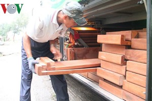 被查獲的走私成品木材。（圖源：VOV）