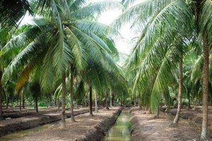 （示意圖源：互聯網）