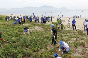 海灘廢棄物清潔活動。（圖源：明玉）