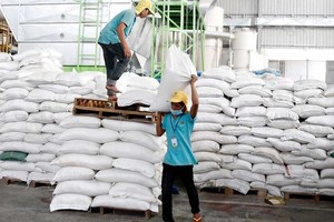 柬埔寨稻米聯盟副主席吳永樂表示，柬埔寨政府已經出台應對措施，包括降低國內生產和出口成本。（示意圖源：互聯網）