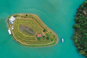 從高處俯瞰的山谷湖花島。