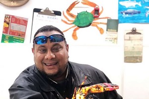 極珍稀的斑紋龍蝦。（圖源：互聯網）